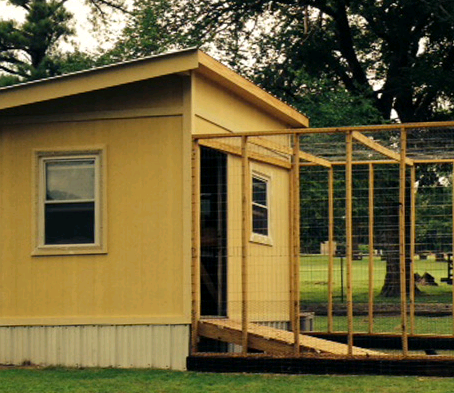 For Free Narrow chicken coop plans
