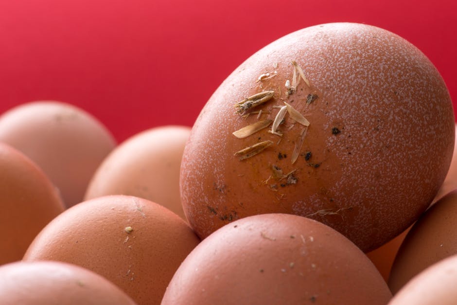 thin eggshells poor shell quality